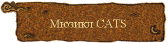 ������ CATS 